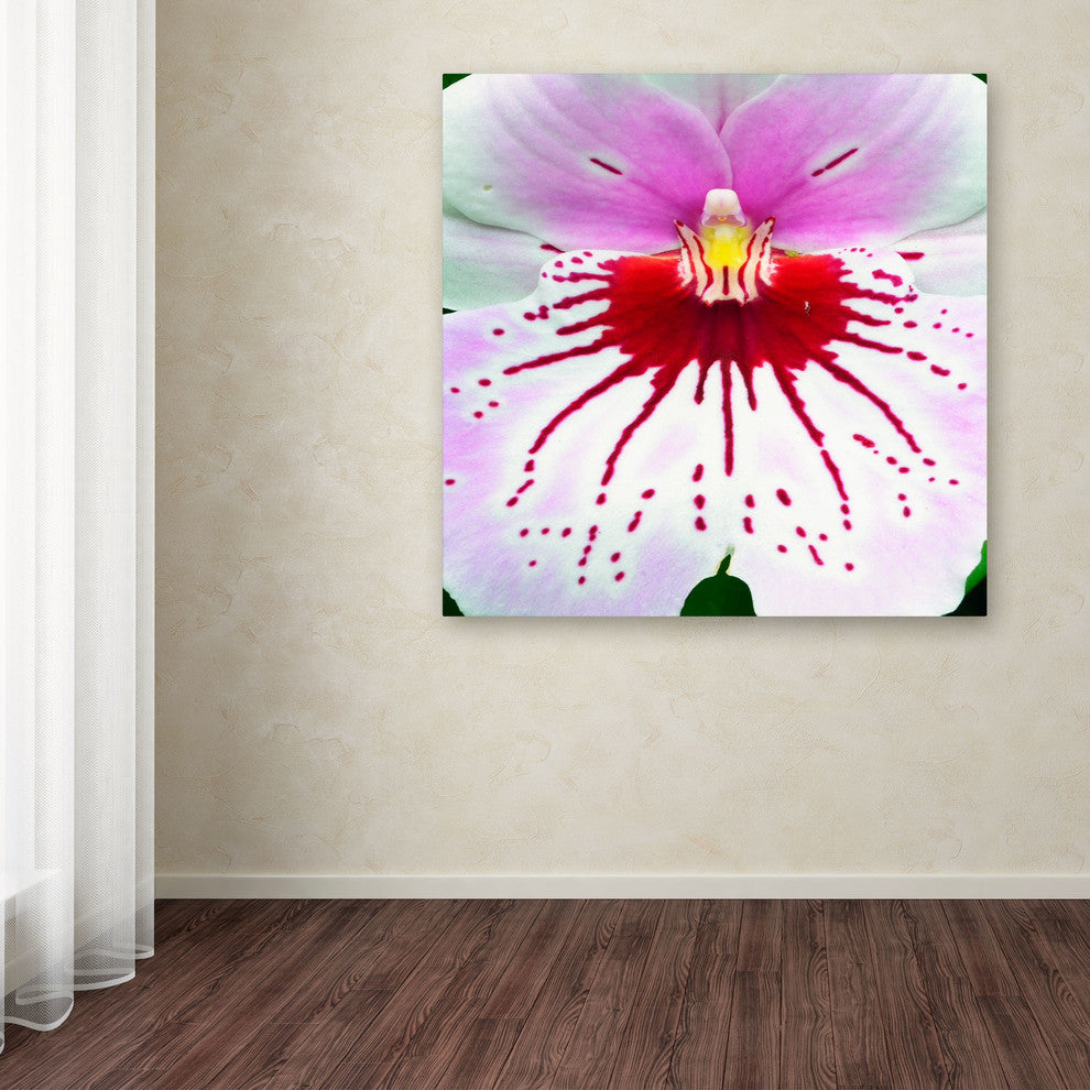 'Mother Natures Imagination Orchid' Canvas Art by Kurt Shaffer