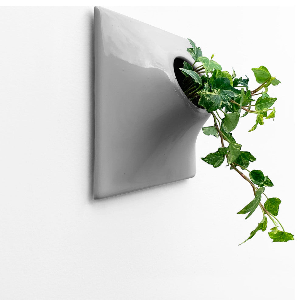 Modern Wall Planter, 6" Node, Small, Ceramic, Medium Gray