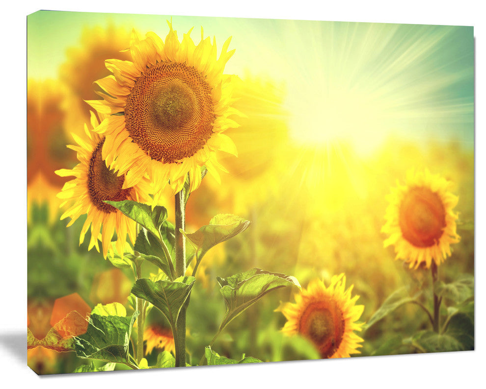 Sunflowers blooming on the field, Large Animal Canvas Art Print, 40"x30"