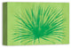 Tropical Green Palm 12x18 Canvas Wall Art