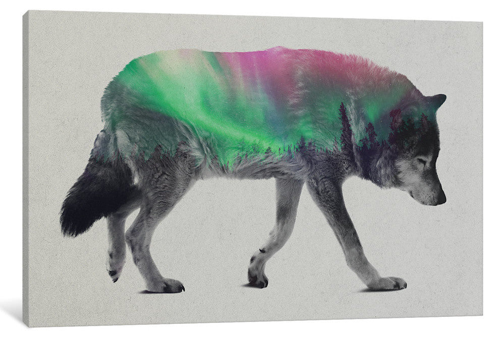 "Wolf" by Andreas Lie, Canvas Print, 18"x12"