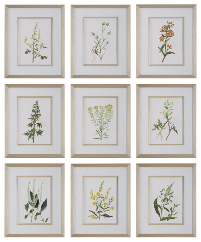 Uttermost - 32339 - Framed Prints, S/9 - Botanical Flowers - Champagne Gold