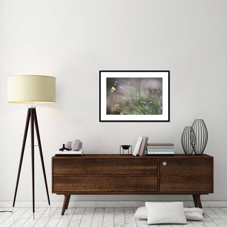 "Imminent Landing" Framed Digital Print by Anna Cseresnjes, 38"x28"