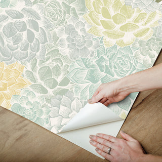 Mr. Kate Succulent Plant Peel and Stick Wallpaper