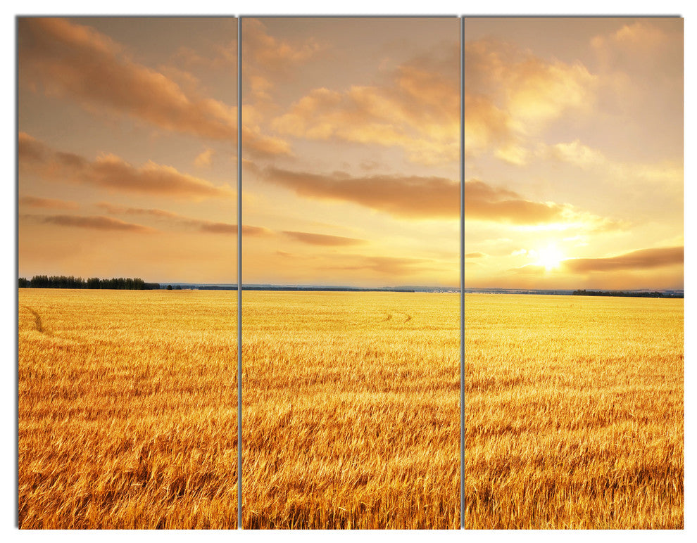 Large Field under Cloudy Sky, Landscape Triptych Canvas Art, 36x28, 3 Panels