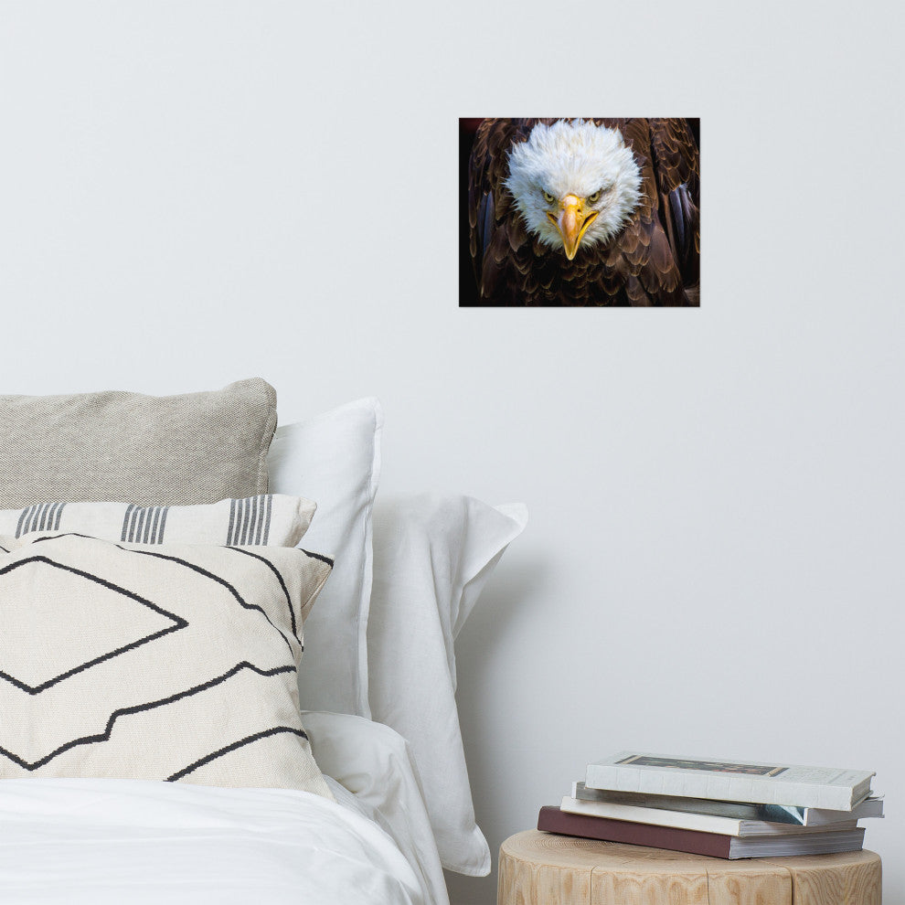 Bald Eagle Portrait Close-up Loose Wall Art Print, 11" X 14"