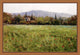 Home In The Meadow, Giclee Reproduction Artwork