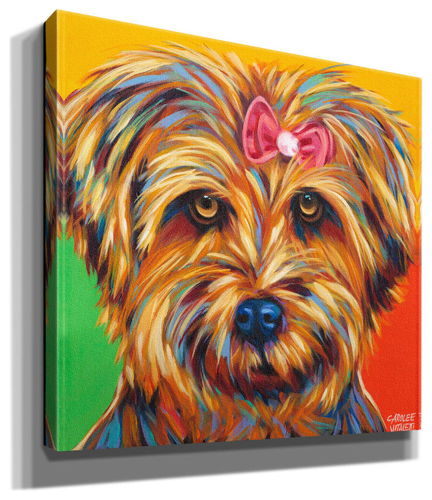 Sweet Yorkie I' by Carolee Vitaletti Giclee Canvas Wall Art, 18"x18"