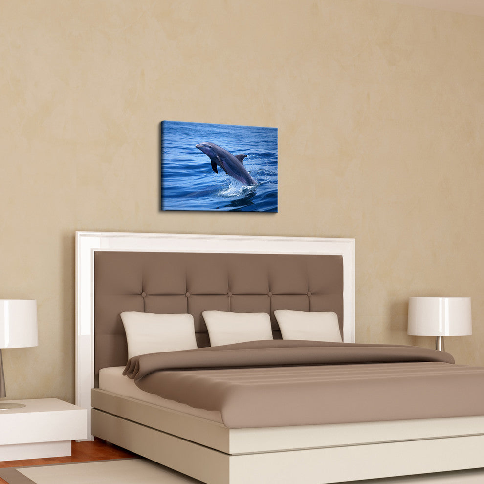 Ready2hangart Christopher Doherty Photography ''Dolphin'' Canvas Wall Art
