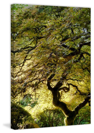 "Magical Tree" Painting Print on Canvas