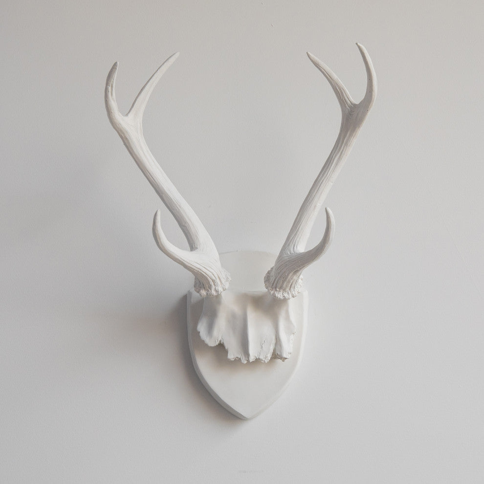 Deer Antler Mount, White Antlers And Plaque, White