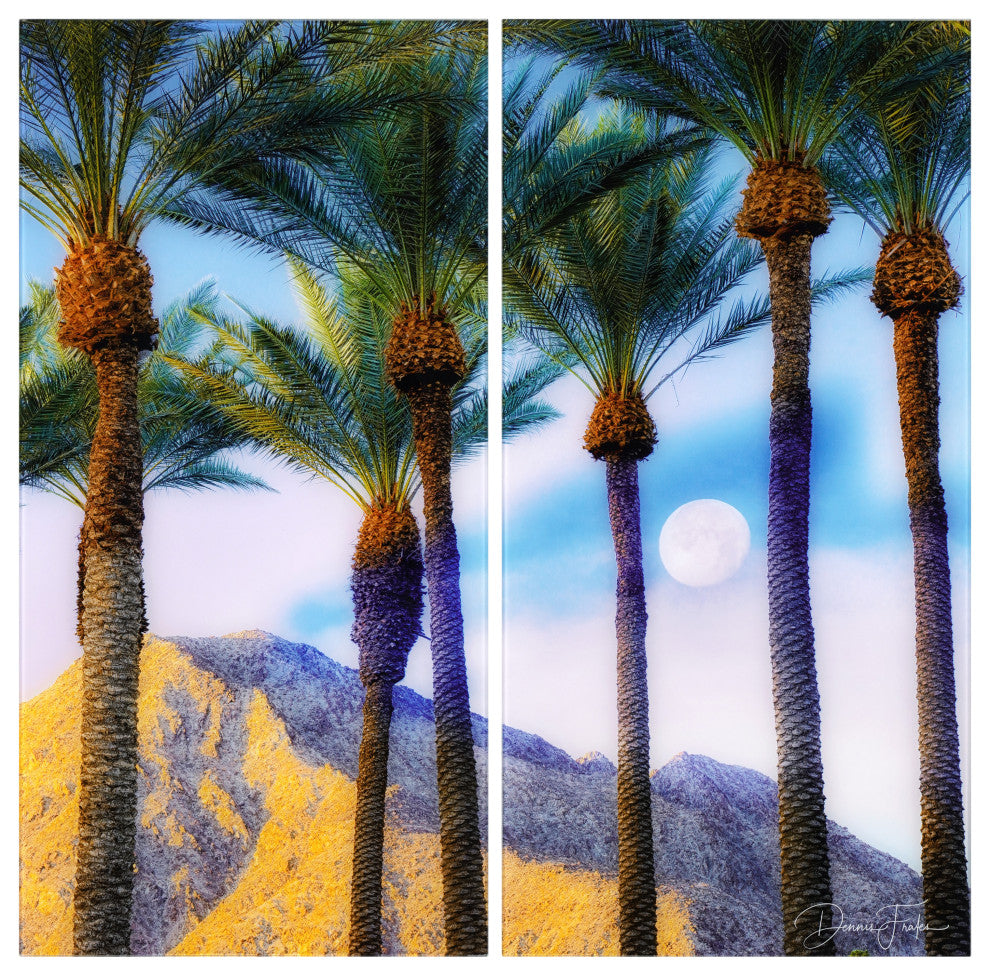 "Moonlit Oasis" Oversized Frameless Reverse Printed Tempered Art Glass Set
