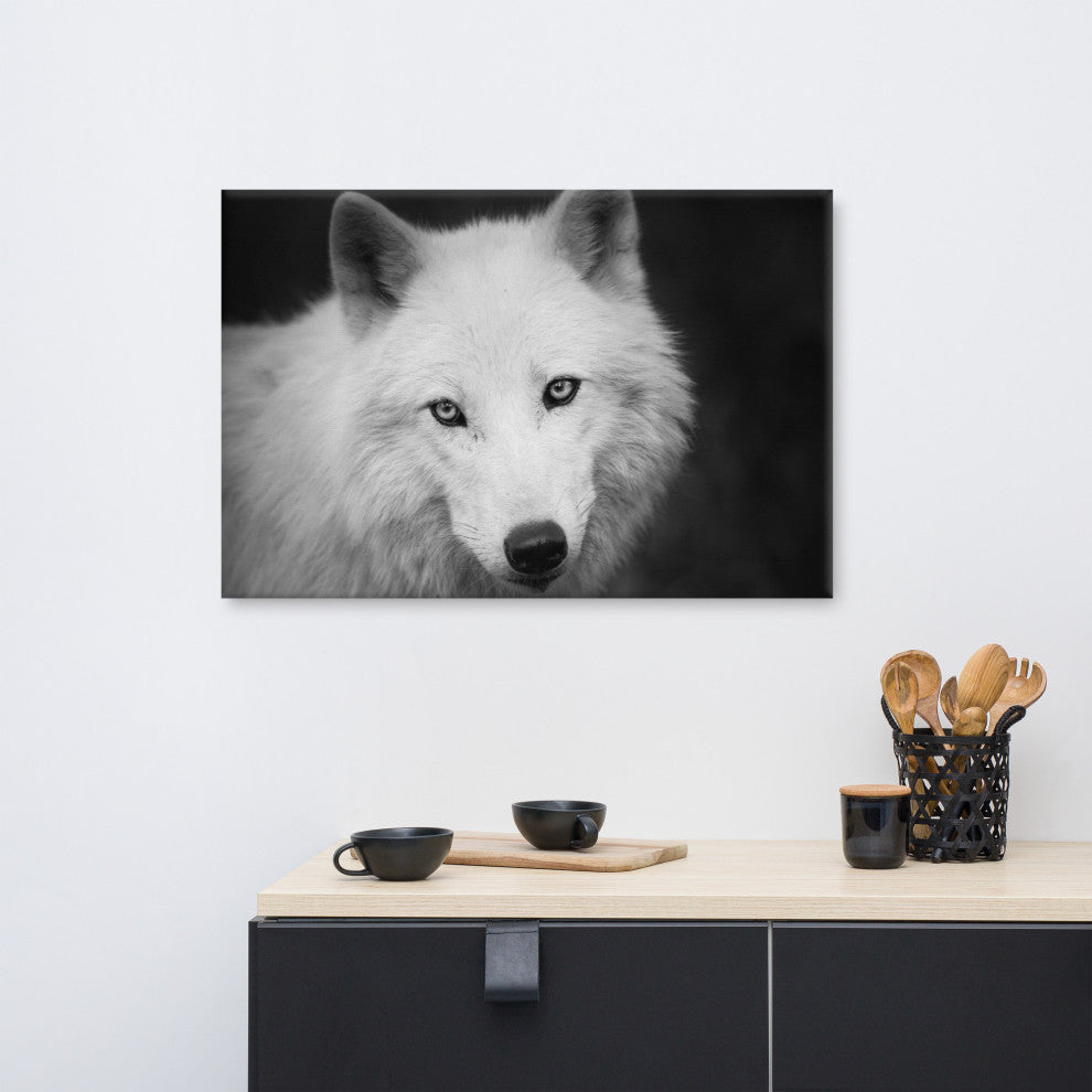 Black and White Portrait of White Wolf Wildlife Photograph Canvas Wall Art Print, 24" X 36"