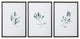 Uttermost Simple Sage Watercolor Prints Set of 3 33723