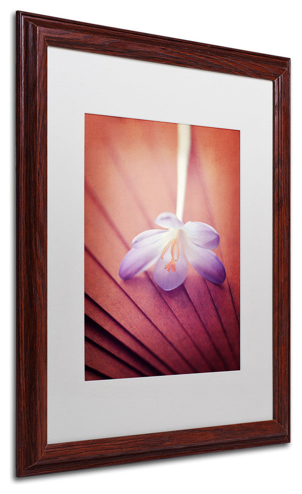 'Access to Desires' Matted Framed Canvas Art by Philippe Sainte-Laudy