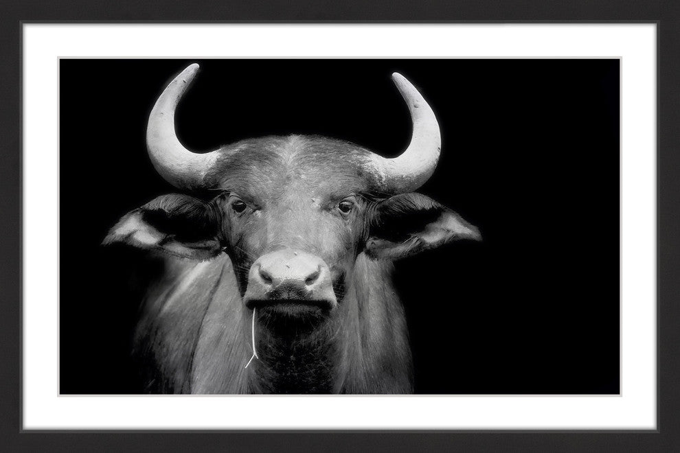 Marmont Hill, "Cow Stare" Framed Painting Print, 36x24