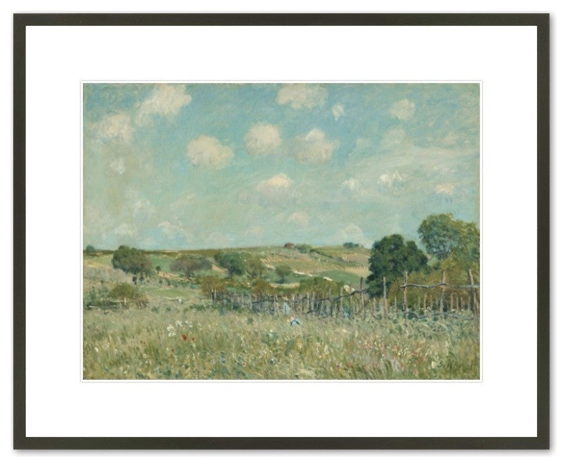 Meadow, 1875