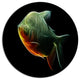 Fractal Pacu Fish On Black, Animal Disc Metal Artwork, 23"