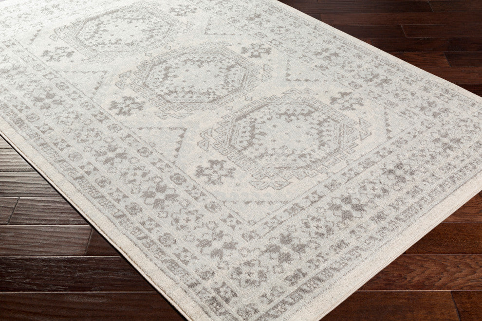 Surya Chester CHE-2309 Global Area Rug, 9' x 12' Rectangle