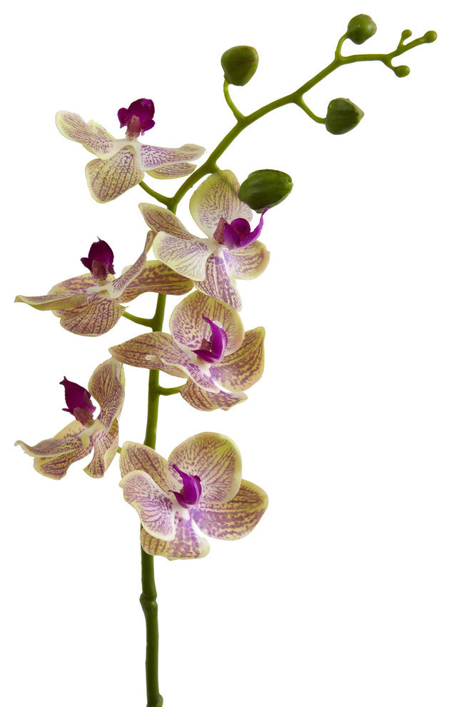 29" Phalaenopsis Orchid Artificial Flower, Set of 4