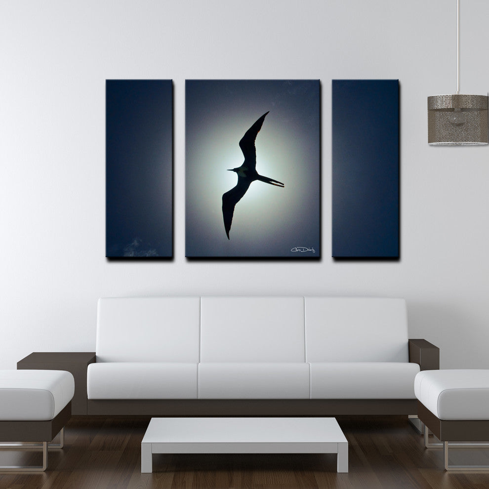 Ready2hangart Chris Doherty 'Frigatebird' 3-piece Canvas Wall Art