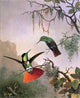 Martin Johnson Heade Two Hooded Visorbearer Hummingbirds Wall Decal