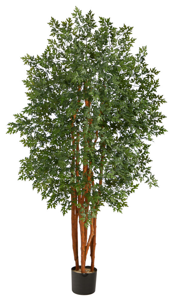 Alternate white-background full product shot showing entire tree with no background.