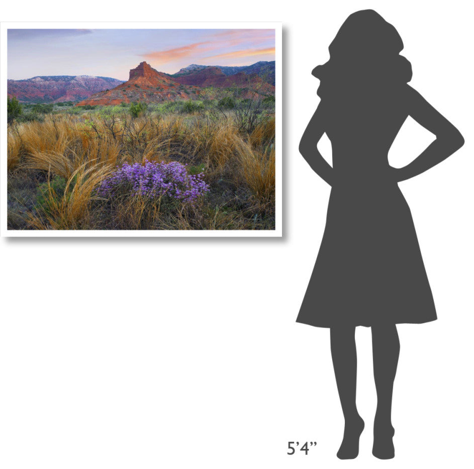 "Caprock Canyons State Park, Texas" Paper Print by Tim Fitzharris, 42"x32"