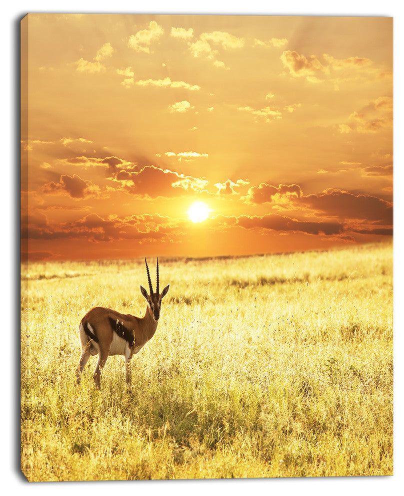 Solitary Antelope in Grassland, African Landscape Canvas Art Print, 30"x40"