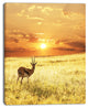 Solitary Antelope in Grassland, African Landscape Canvas Art Print, 30"x40"