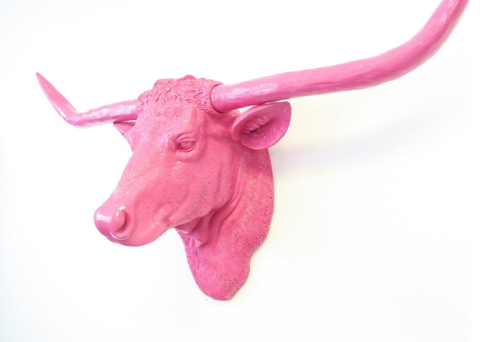 Faux Texas Longhorn Head Wall Decor, Hot Pink