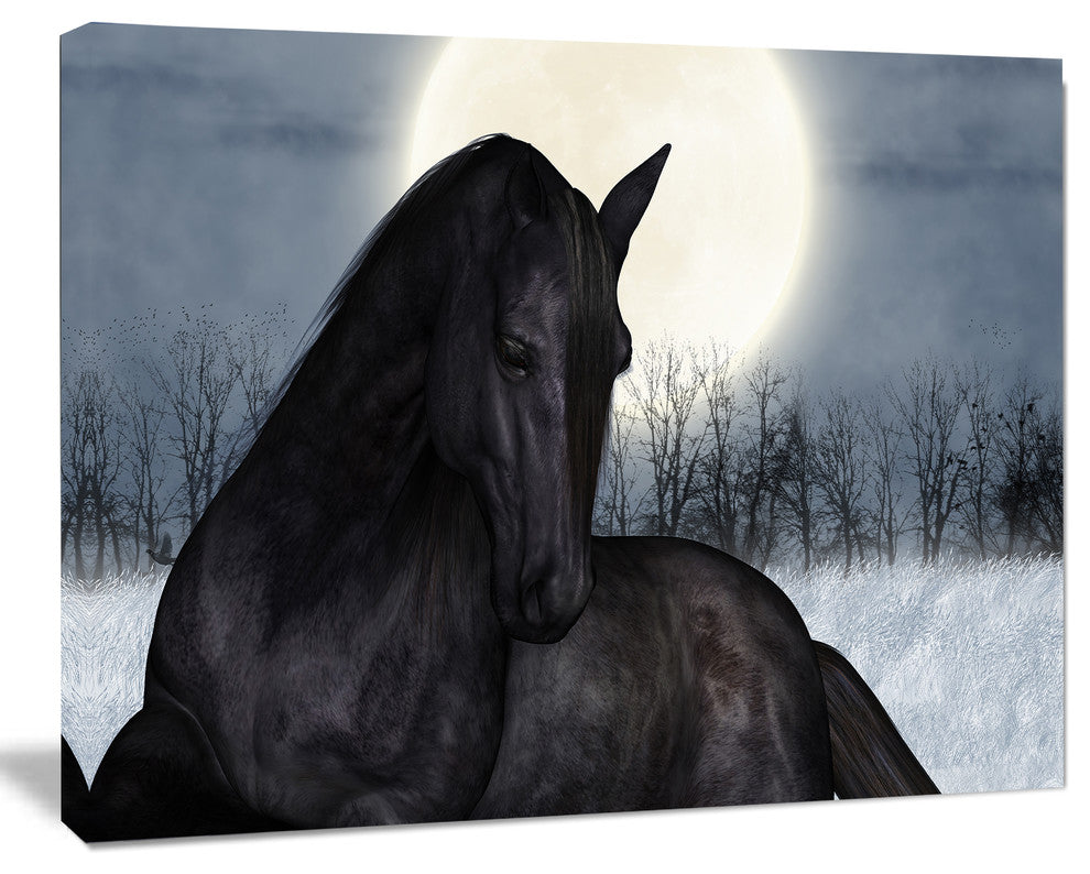 Black Horse in Moonlight, Animal Canvas Art Print, 20"x12"