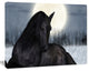 Black Horse in Moonlight, Animal Canvas Art Print, 20"x12"