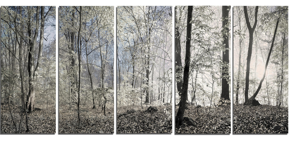 Dark Morning in Forest Panorama, Landscape Canvas Art Print, 60"x28", 5 Panels