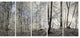 Dark Morning in Forest Panorama, Landscape Canvas Art Print, 60"x28", 5 Panels