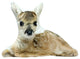 17" Brown and White Resting Fawn Decorative Throw Pillow