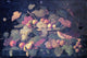 Severin Roesen Still Life: An Abundance of Fruit Wall Decal