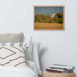 Abandoned Barn In The Trees Framed Photo Paper Wall Art Prints, Red Oak, 16" X 20"