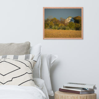 Abandoned Barn In The Trees Framed Photo Paper Wall Art Prints, Red Oak, 16" X 20"