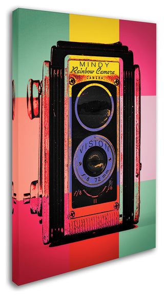 Mindy Sommers 'Color Snap' Canvas Art, 22" x 32"