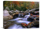 "Little Pigeon River, Great Smoky Mountains National Park, Tennessee" Artwork