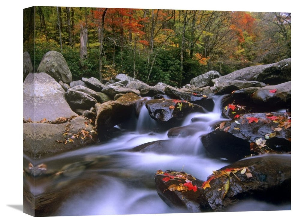 "Little Pigeon River, Great Smoky Mountains National Park, Tennessee" Artwork