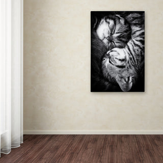 Andrea Jancova 'Yin And Yang' Canvas Art, 47 x 30