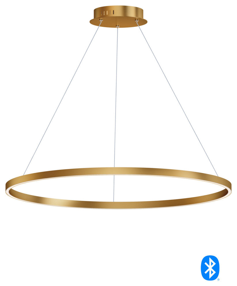 ET2 E22728 Groove 40"W LED Ring Chandelier - Black