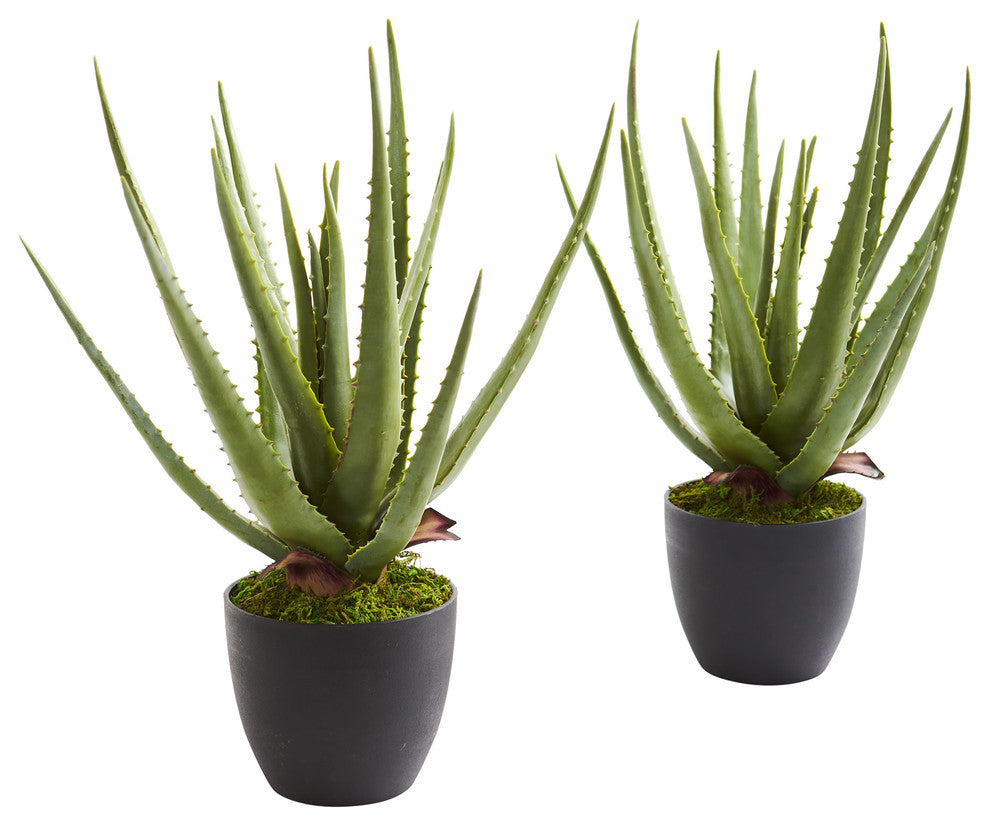 Aloe Artificial Plant, Set of 2