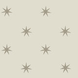 Wicker & Metallic Glint Star Splendor Peel & Stick Wallpaper