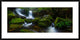 "Hello Horseshoe" Framed Digital Print by Jason L. Stephens, 44x22"