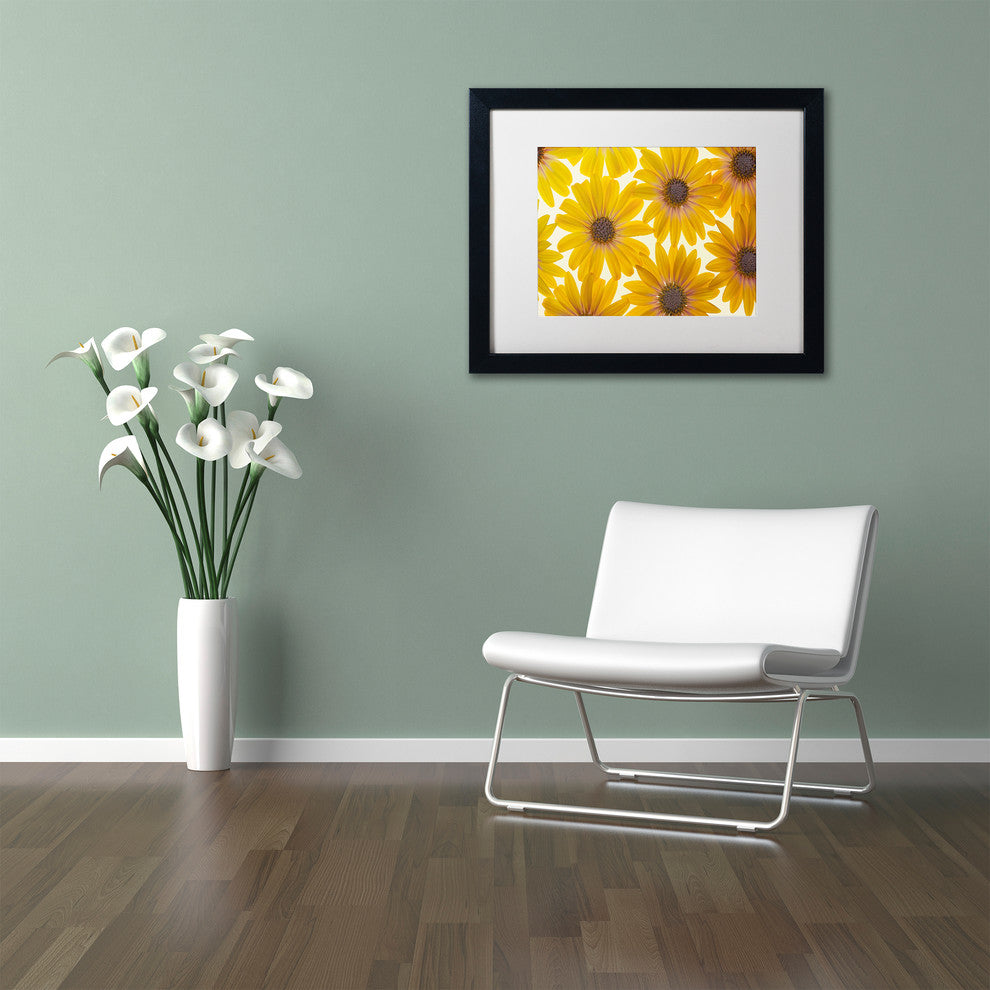 Cora Niele 'Yellow Cape Daisies' Matted Framed Art