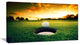 Golf Ball Near Hole, Landscape Canvas Art Print, 32"x16"