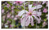 Beautiful Magnolia Flowers, Large Floral Canvas Art Print, 48"x28", 4 Panels